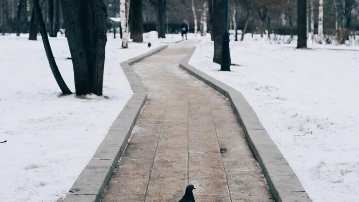 Фото: freepik.com