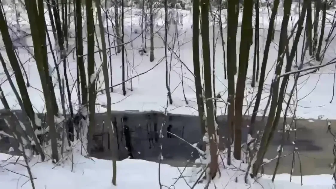 Фото: скрин с видео