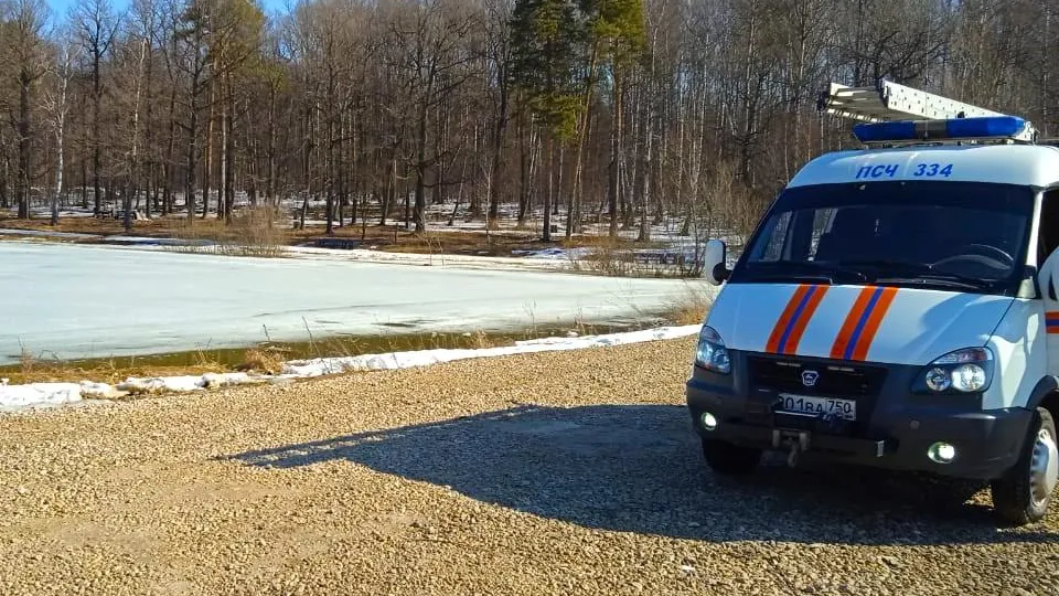 Фото: ГКУ МО «Мособлпожспас»