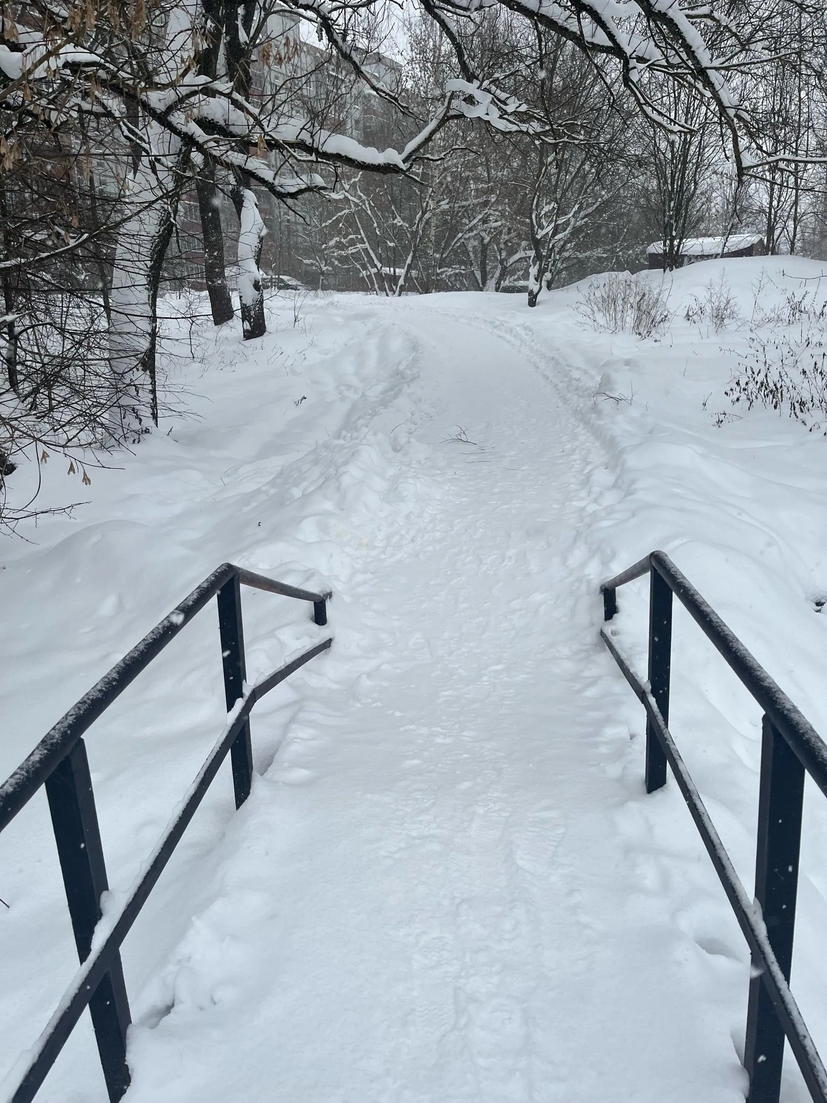 Фото: Подслушано | Дедовск / ВКонтакте