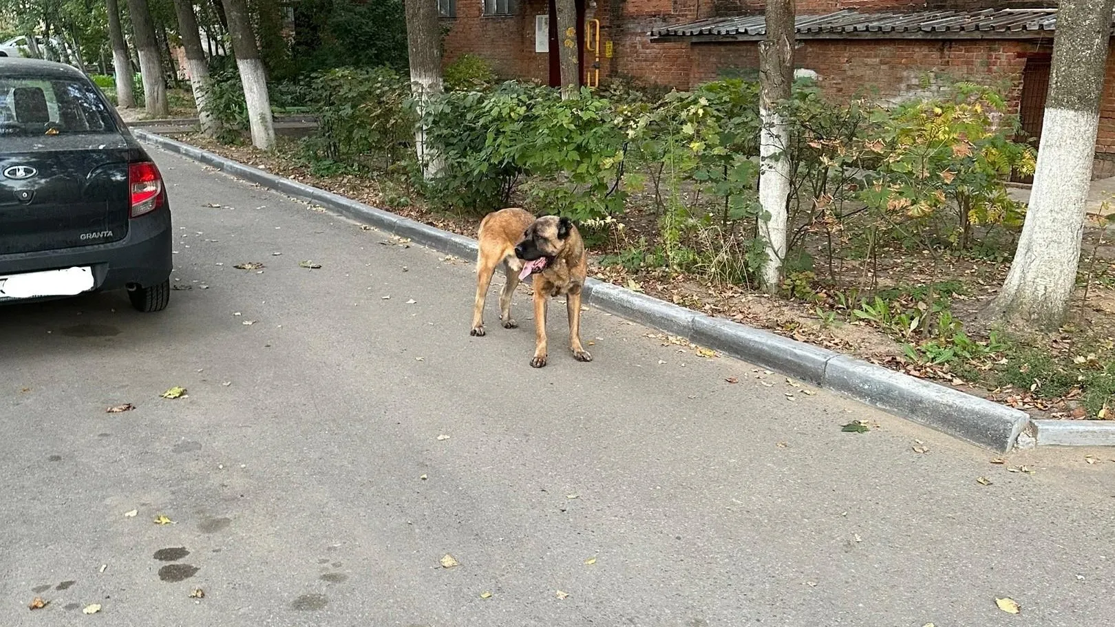 Фото: Родина - Снегири. Истринский городской округ / ВКонтакте