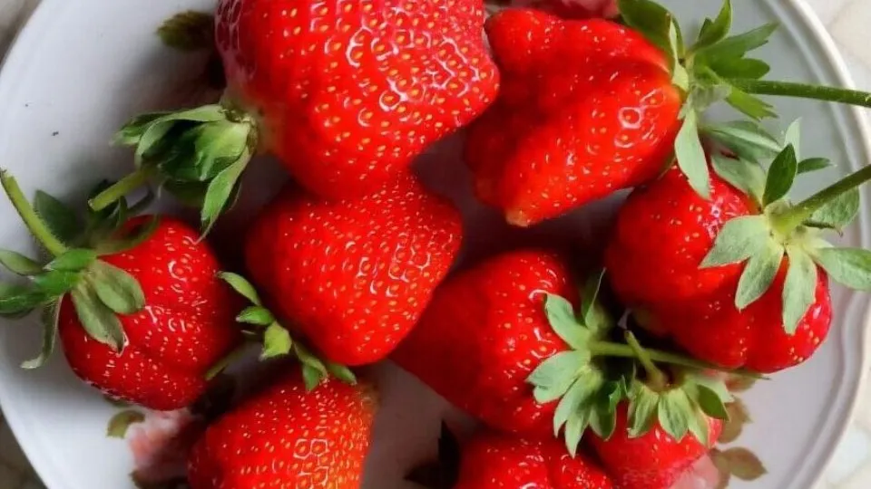 Фото: REGIONS/Людмила Матвиенко