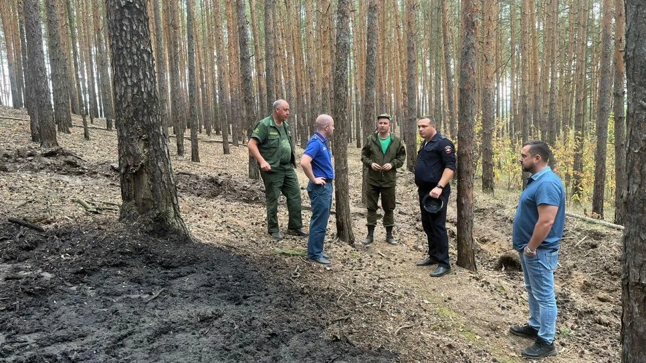 Лесная охрана Подмосковья выявила почти шесть тысяч нарушений с начала года