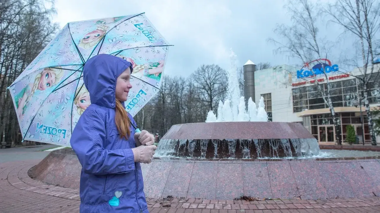 Фото: Министерство благоустройства Московской области