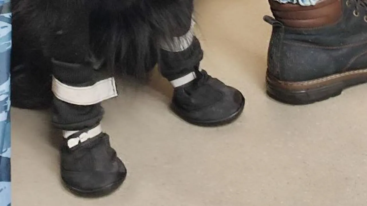 Личный архив Сергей Томиловский