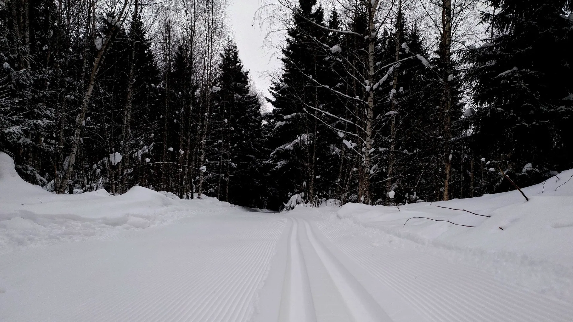 Фото: ГАБОвская лыжня ВК