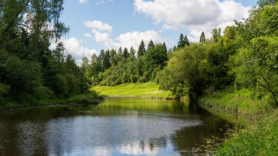 Фото: медиасток.рф