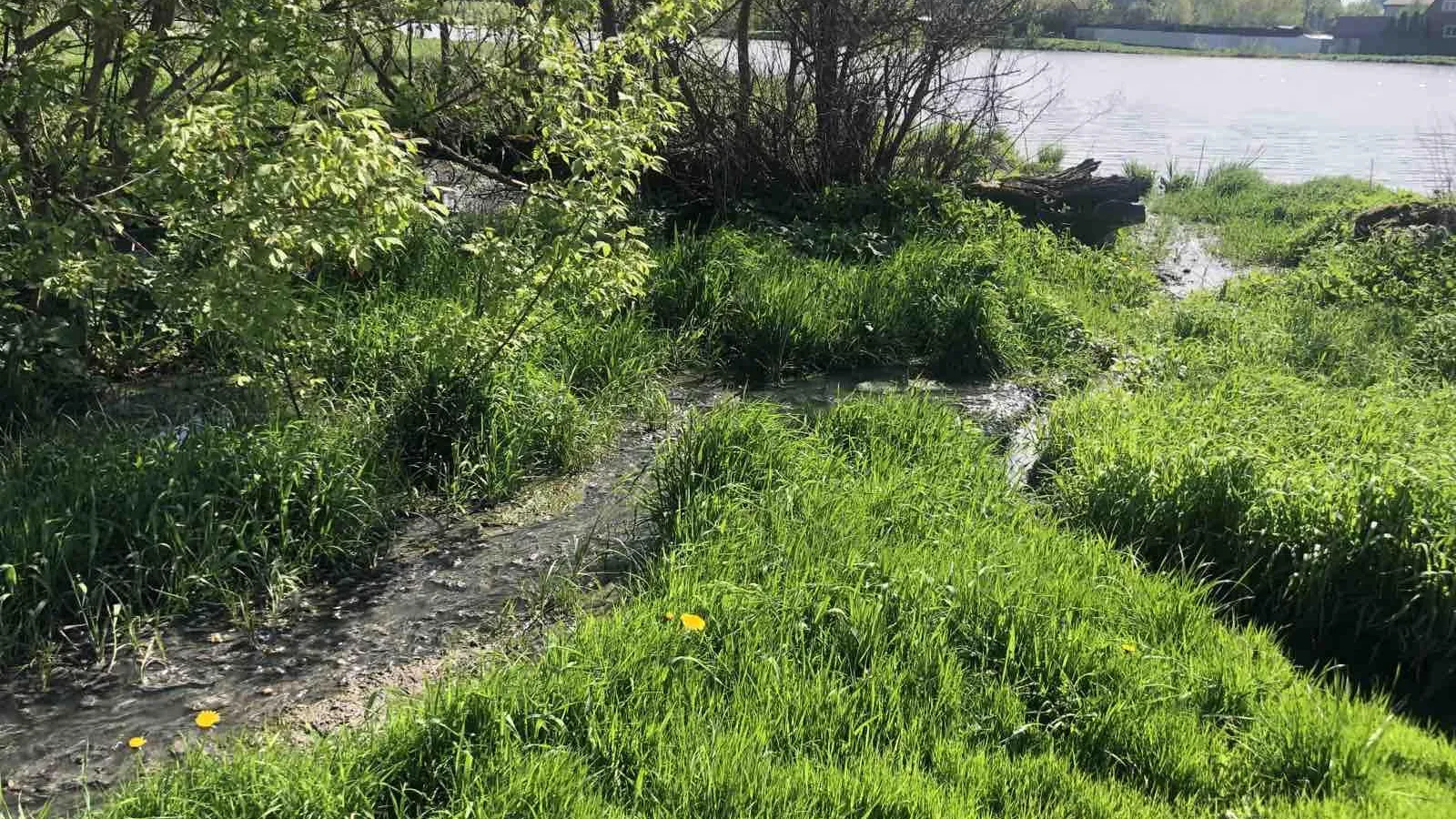 Фото: Пресс-служба Министерства ЖКХ Московской области