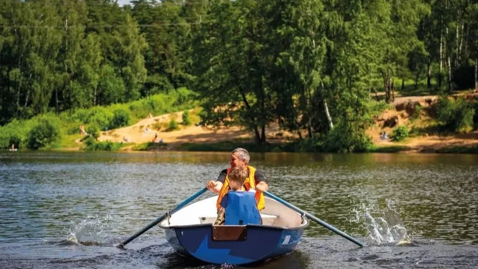 Фото: Министерство благоустройства Московской области