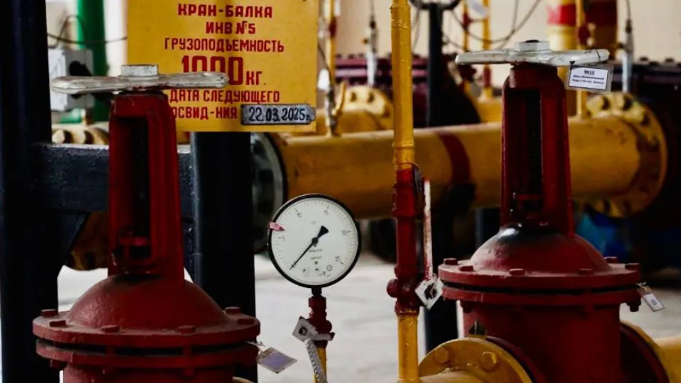 Фото: t.me/dmitriyvikulov