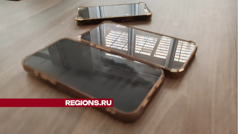 Фото: REGIONS/Юлия Павлова