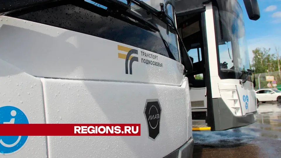 Фото: REGIONS/Василий Тремасов