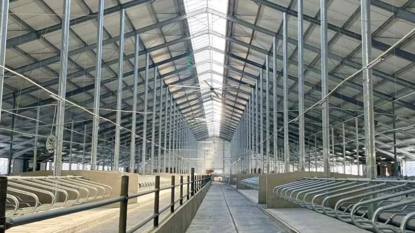 ООО «МТФ «Елгозино»