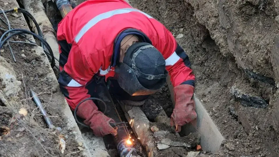 МедиаБанк Подмосковья/Екатерина Данилина