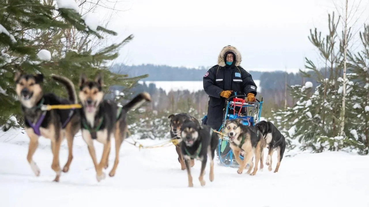 Фото: Министерство физической культуры и спорта Московской области