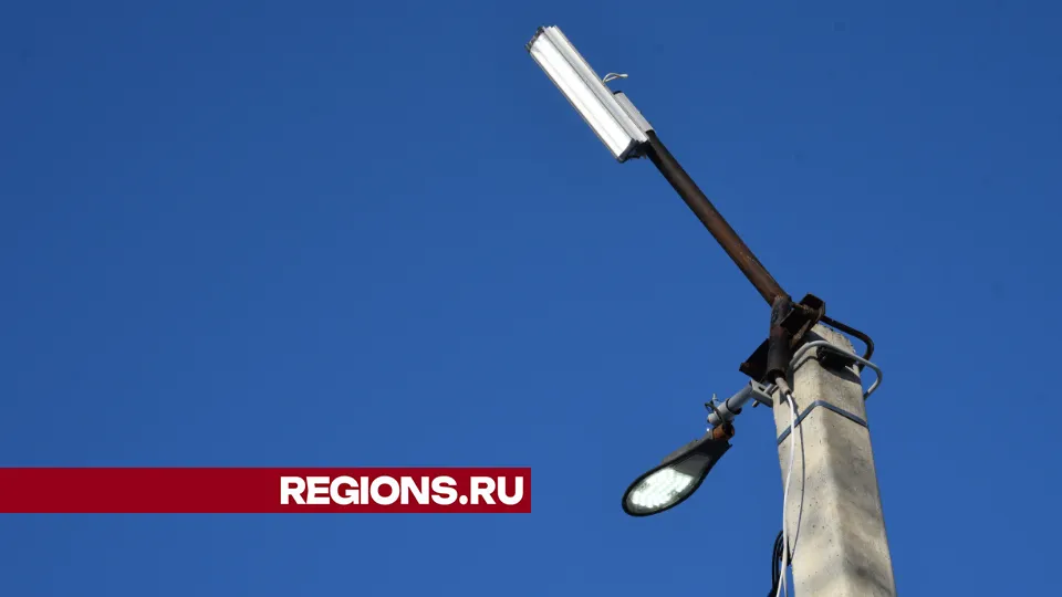 Фото: МедиаБанк Подмосковья/Владимир Останин