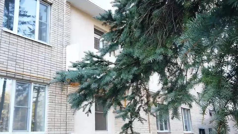 Фото: Министерство ЖКХ Московской области