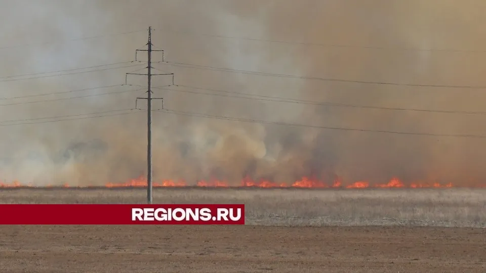 Фото: REGIONS/Александр Дрожжин