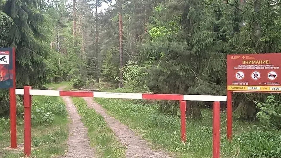 Фото: t.me/mosoblcomles