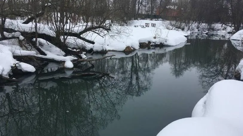 Фото: Министерство экологии МО