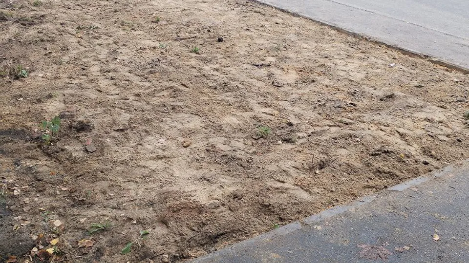 Фото: пресс-служба администрации г.о. Пушкинский