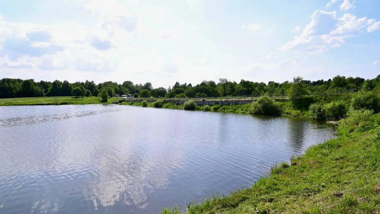 Фото: t.me/DAkulovSP