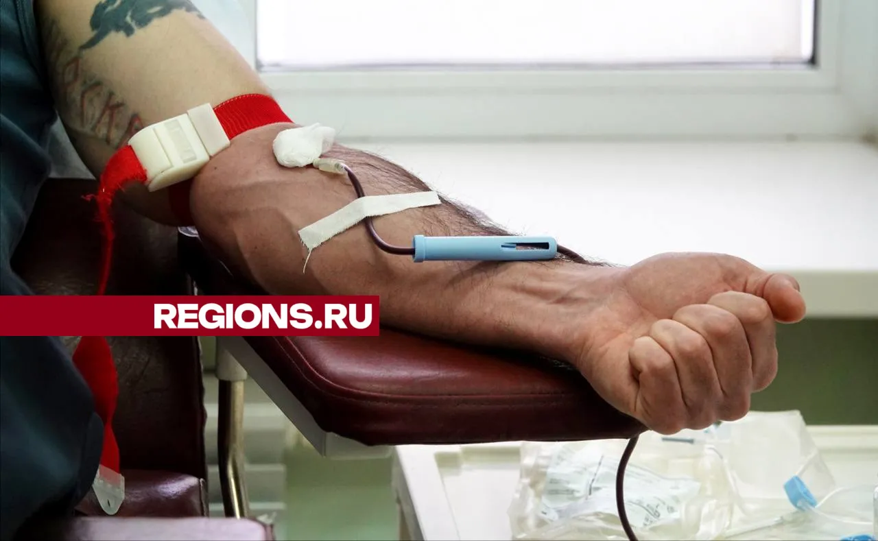 Фото: Дарья Леонова