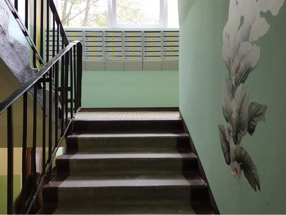 Фото: REGIONS/Артем Мишуков