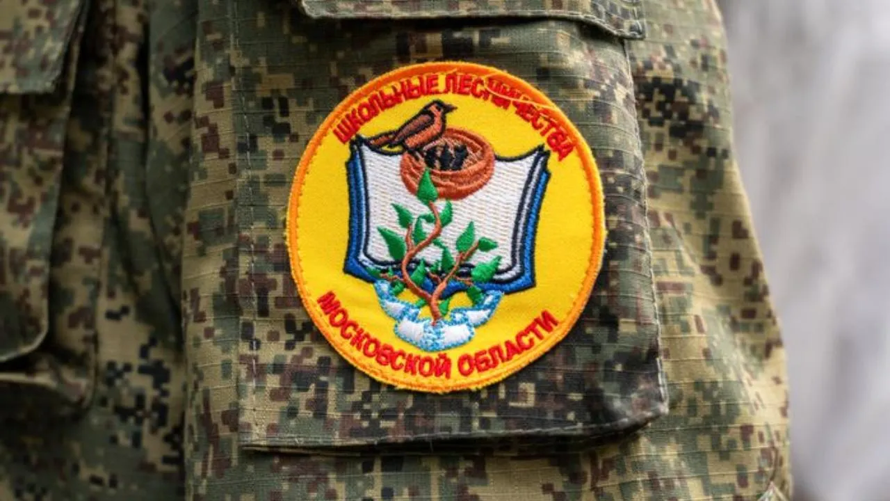 медиасток.рф