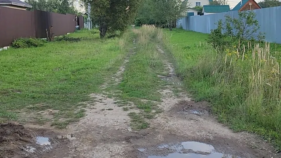 Фото: Дмитрий Алексеенко