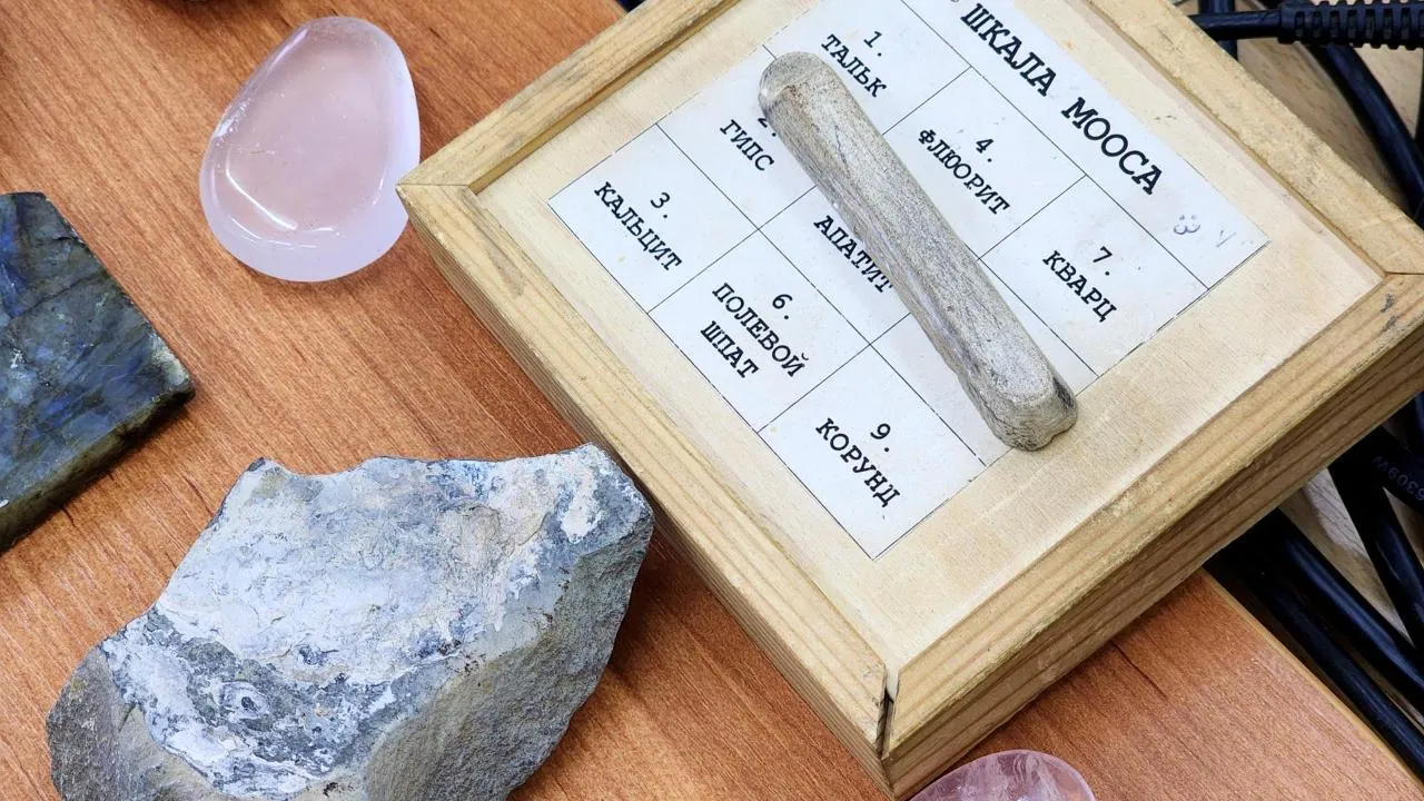 REGIONS/Полина Пахомова