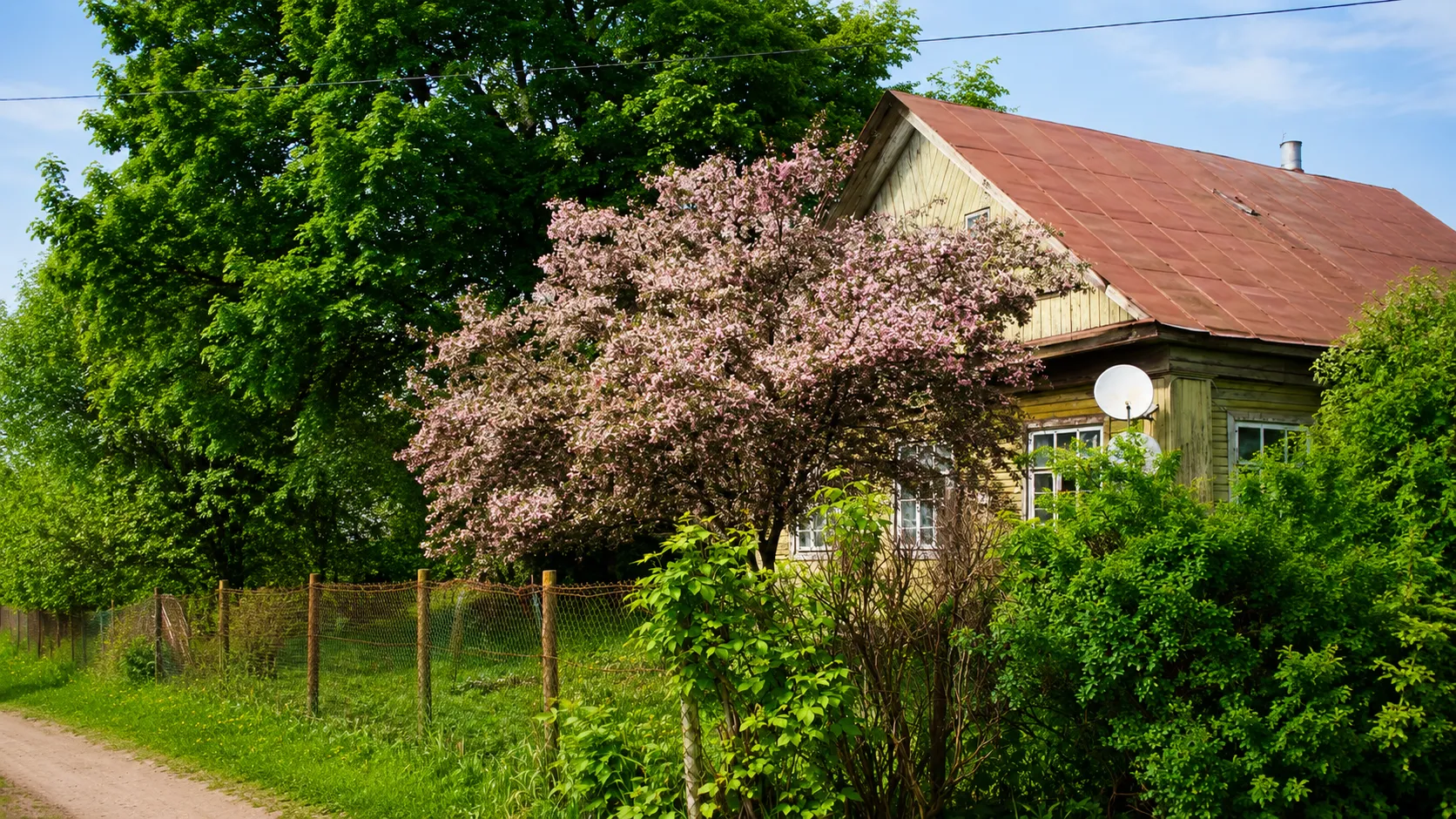 Картинка
