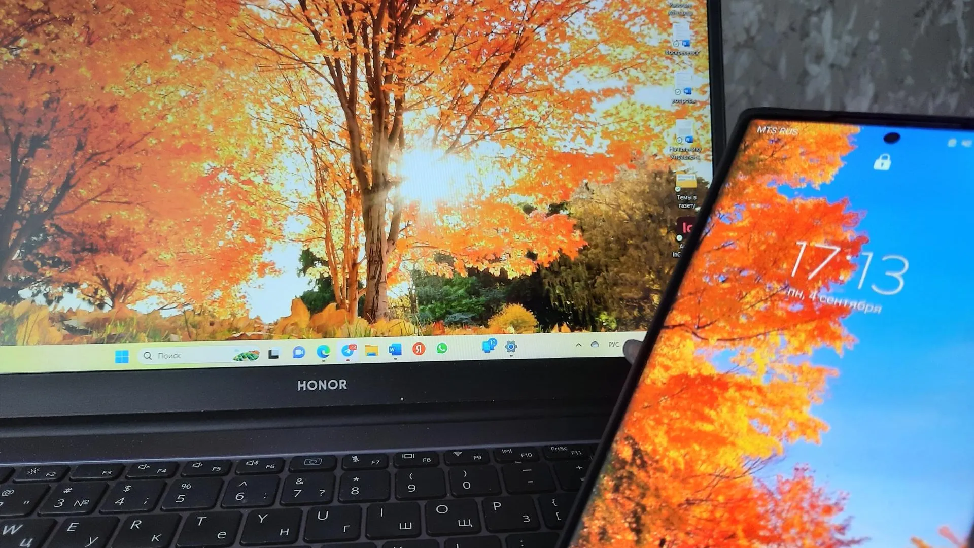 Светлана Плотникова