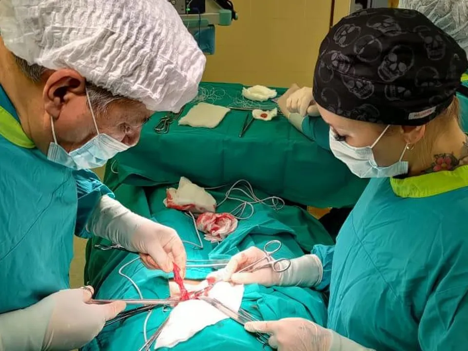 Фото: личный архив Алины Зубковой