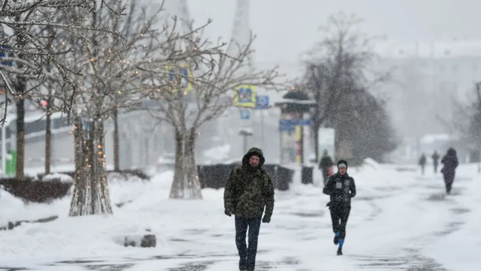 Фото: медиасток.рф