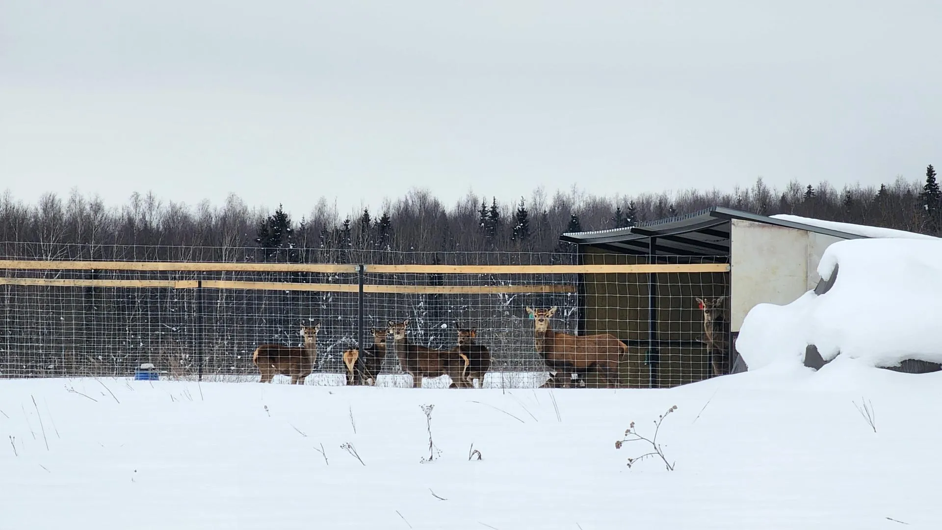 REGIONS/Евгений Рой