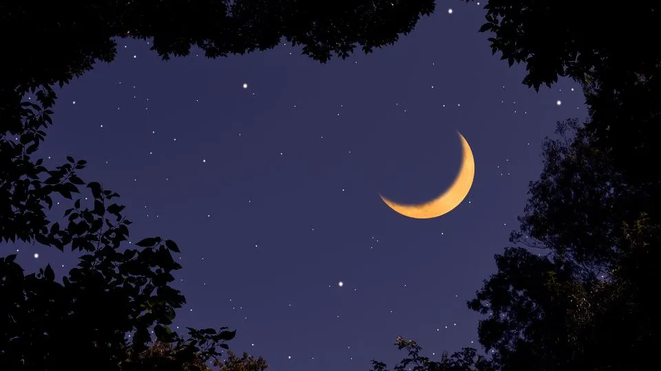 Фото: istockphoto.com/kyoshino