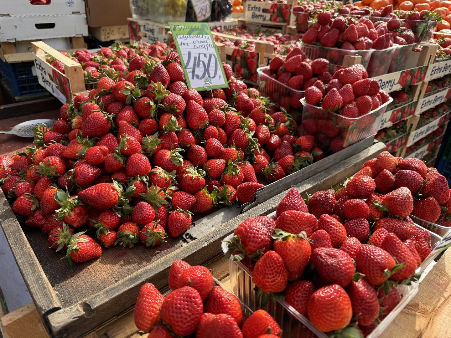 Фото: Мария Шматкова