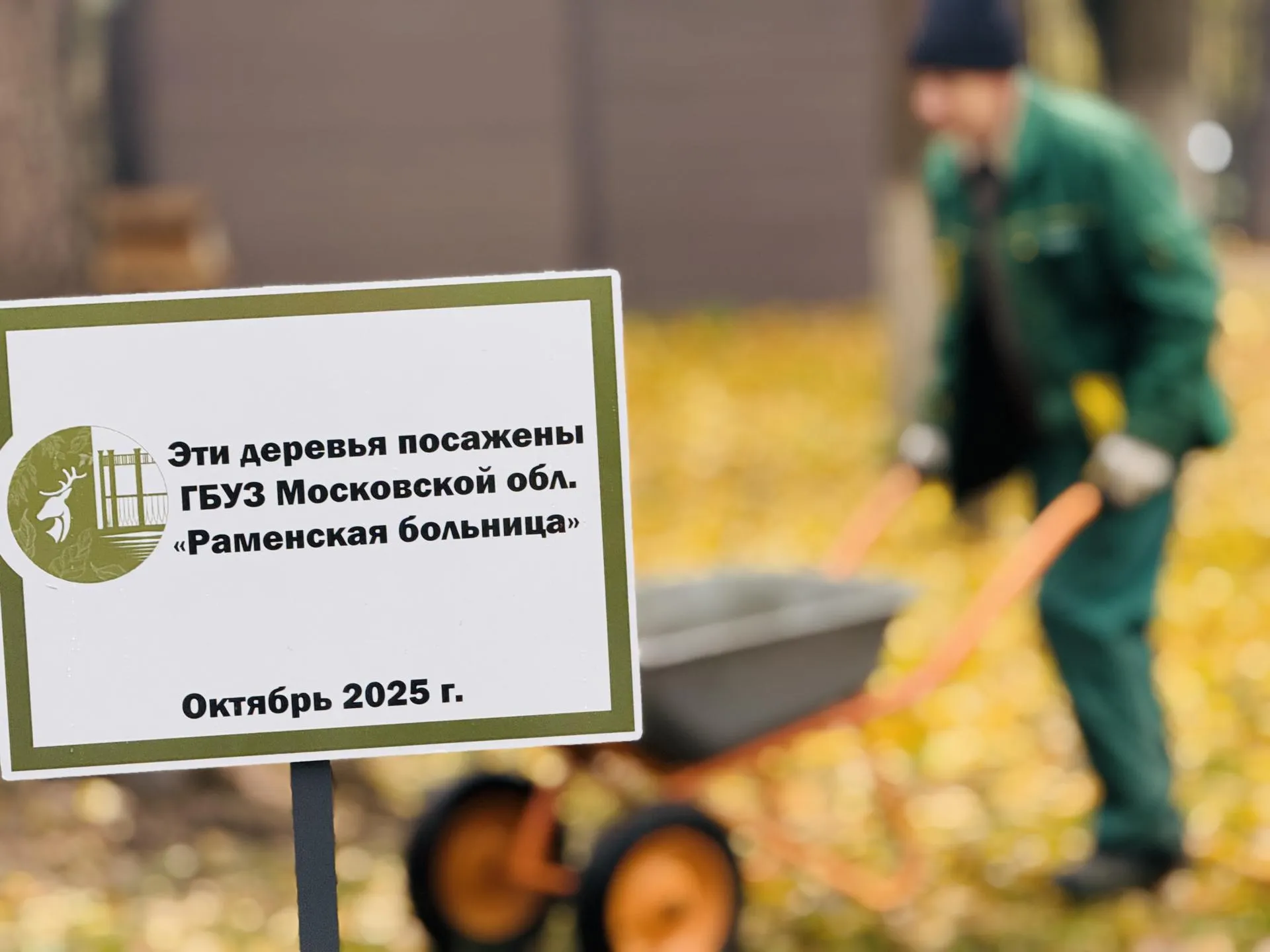 Фото: МедиаБанк Подмосковья/Ольга Стаферова