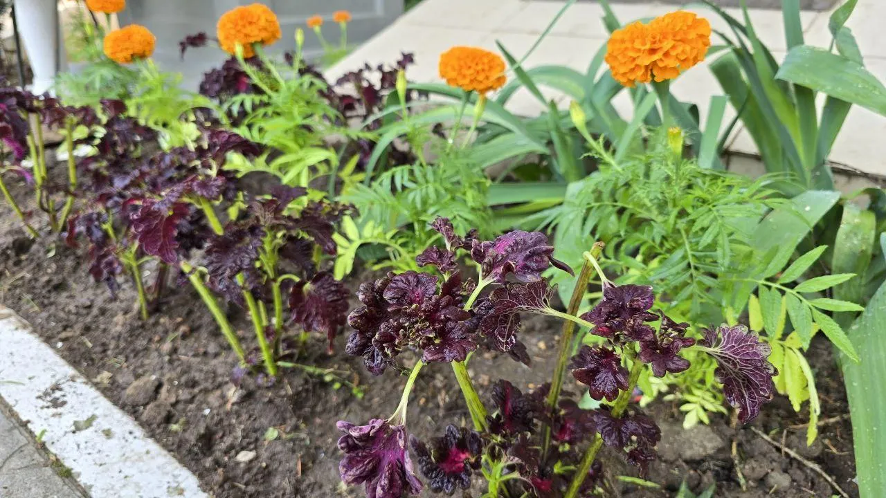 Фото: REGIONS/Яна Шаливская