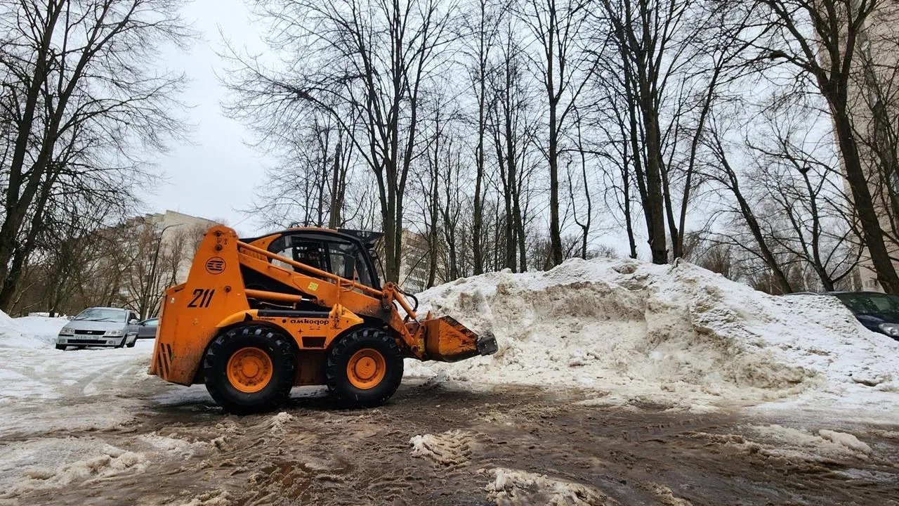 REGIONS/Анна Мороз