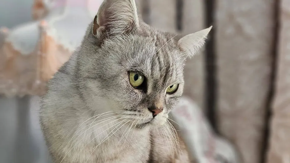 Фото: личный архив Юлии Дьячковой