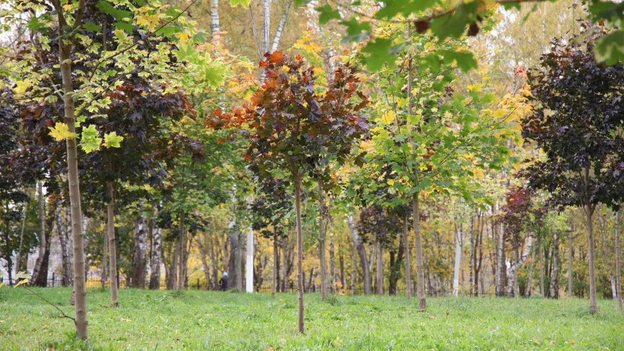 Фото: Ольга Пятикрестовская