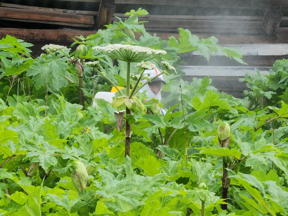 Фото: МедиаБанк Подмосковья/Екатерина Данилина