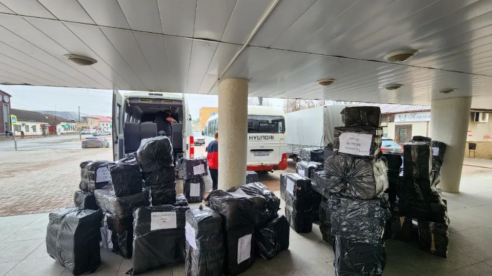 Фото: МедиаБанк Подмосковья/Яна Шаливская