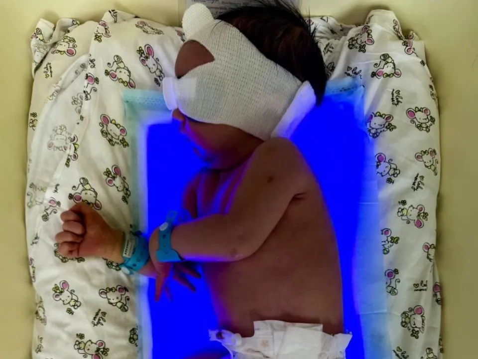 Фото: МОЦОМД