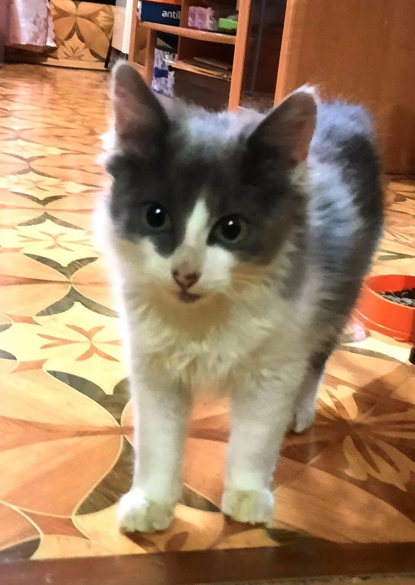 Фото: Подслушано Истра (новая) / ВКонтакте