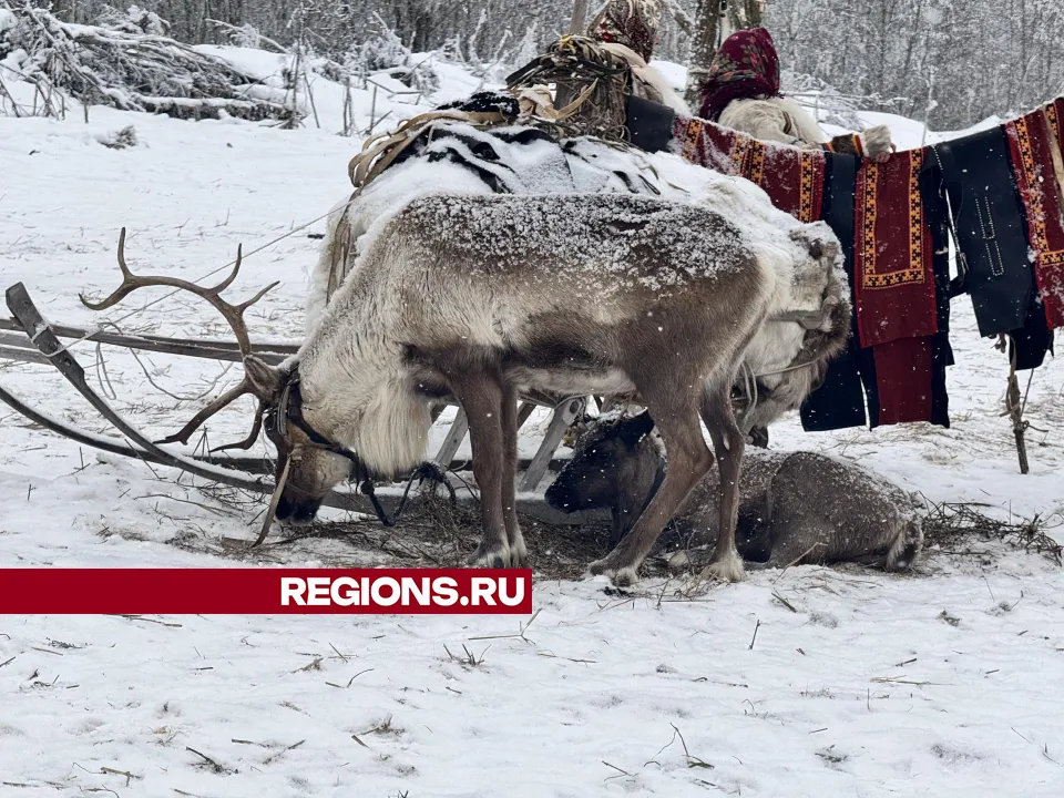 Фото: Татьяна Рунова