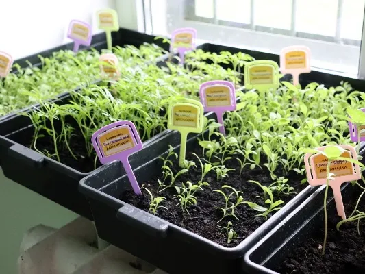 Фото: пресс-служба ГУФСИН России по Московской области