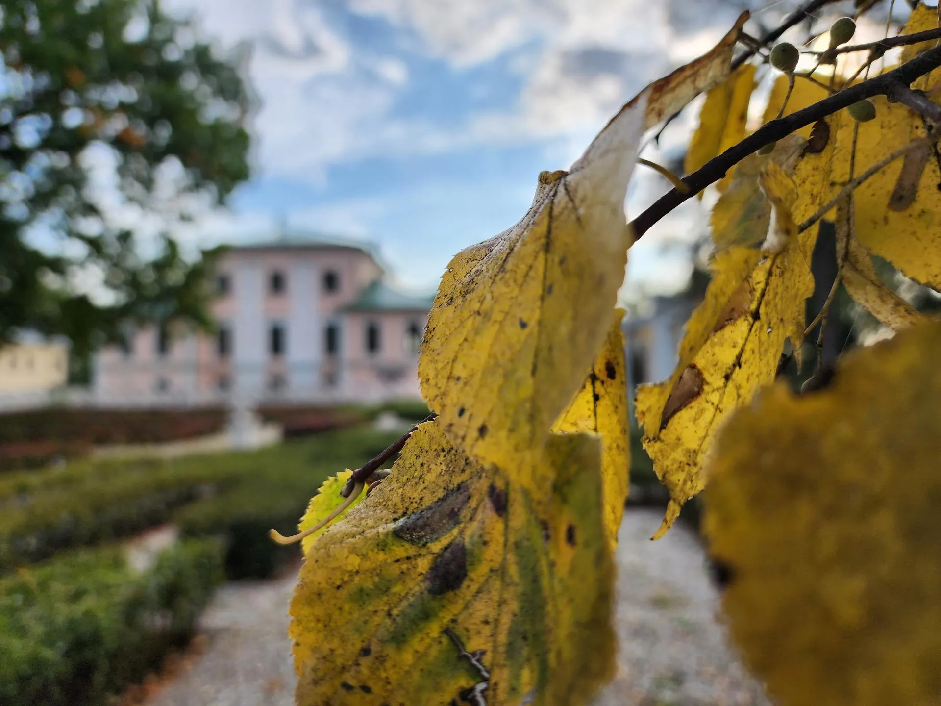 Фото: Светлана Плотникова